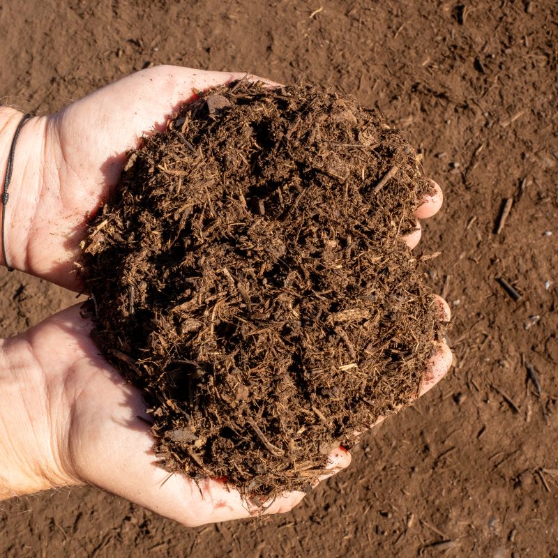 Finished compost made from Walmart food waste and green waste collected from Phoenix neighborhoods.