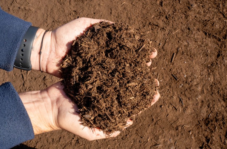 Finished compost made from Walmart food waste and green waste collected from Phoenix neighborhoods.