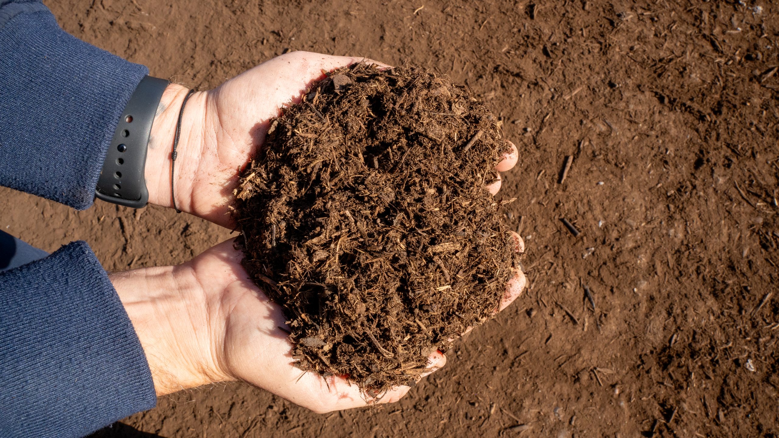 Hands hold finished compost made from food waste and green waste collected from Phoenix neighborhoods. 