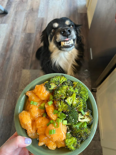 dog smiles in the background of a HelloFresh meal