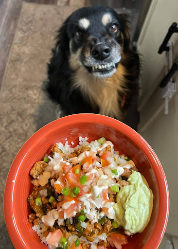 dog smiles in the background of a HelloFresh meal